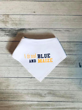 Load image into Gallery viewer, Blue and Maize Accessories Set