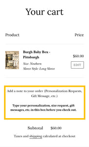 Burgh Baby Box - Pittsburgh